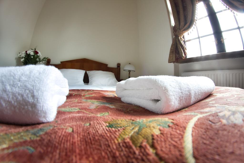 Zamek Golubski Room photo